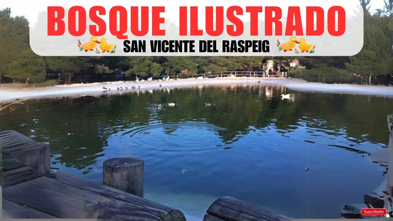 🦆El BOSQUE ILUSTRADO de la Universidad de ALICANTE (San Vicente del Raspeig)🦆
