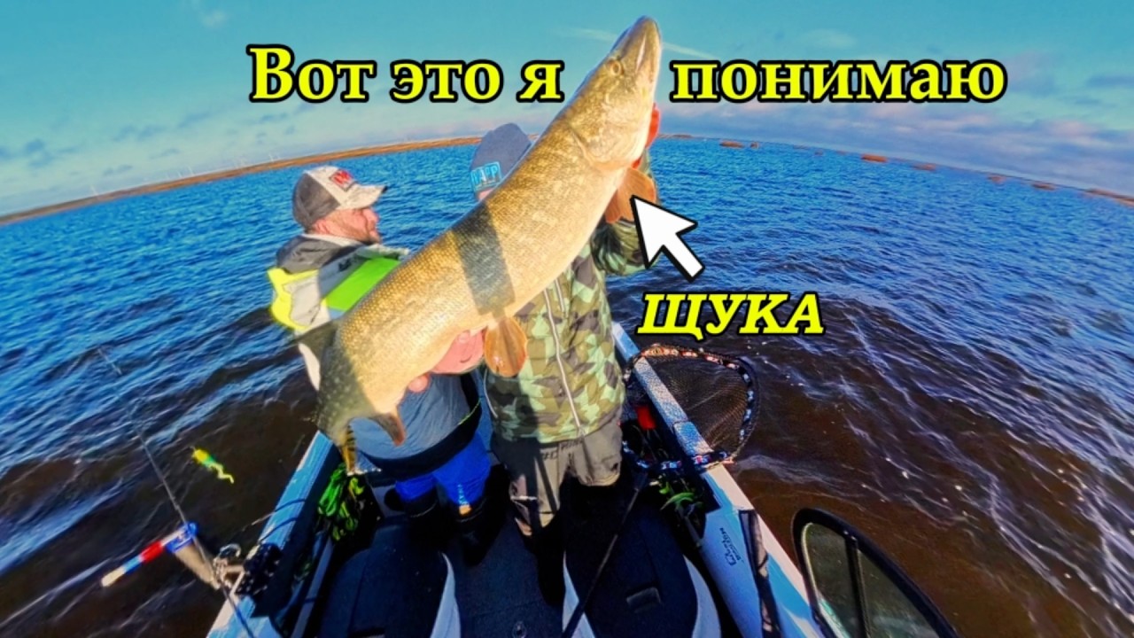 Незабываемая рыбалка!Втроём за трофеями! #рыбачим_в_удовольствие #рыбалка #fishing