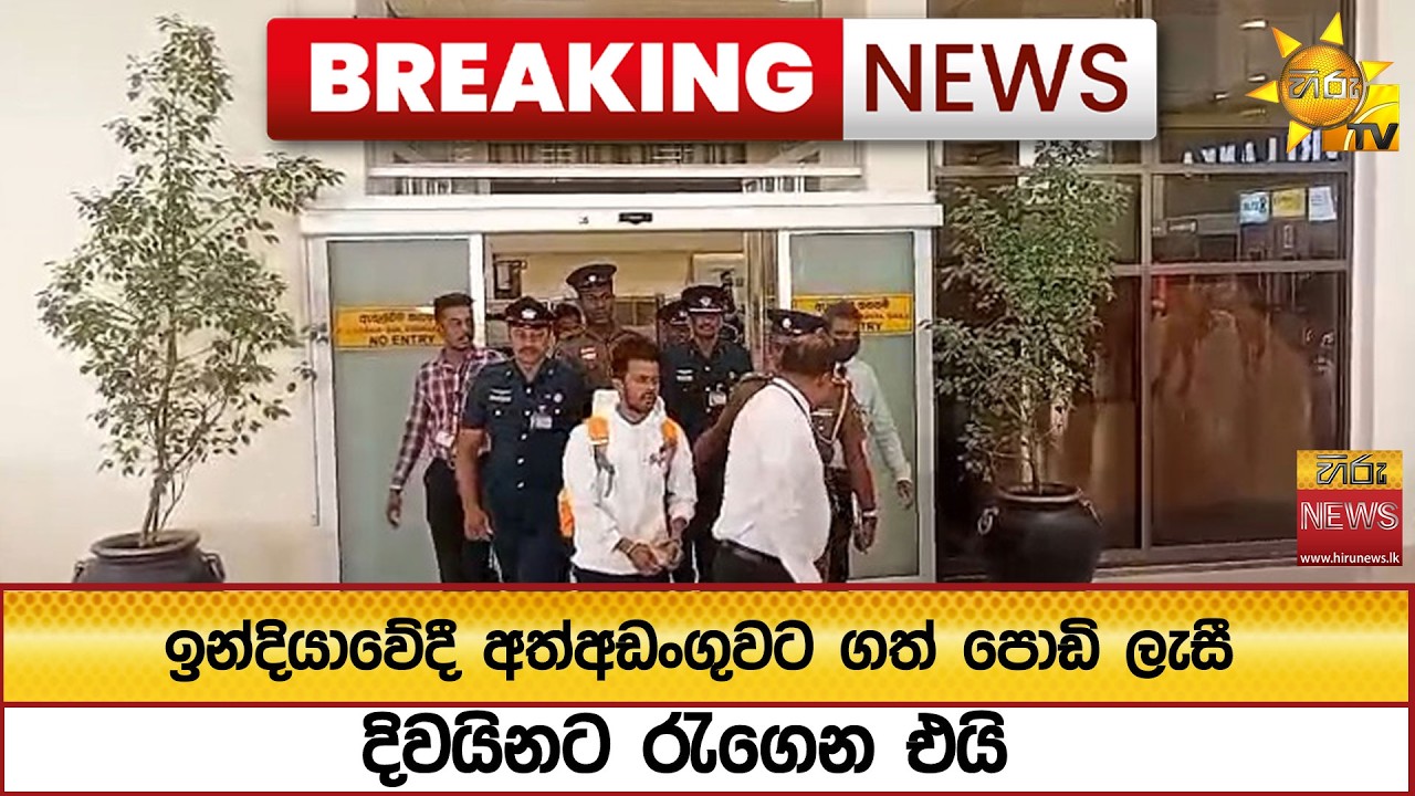 🔴 Breaking News - ඉන්දියාවේදී අත්අඩංගුවට ගත් පොඩි ලැසී දිවයිනට රැගෙන එයි - Hiru News