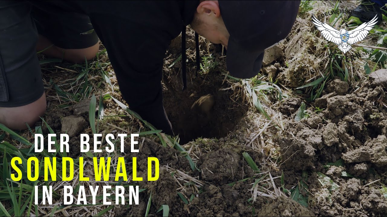 Der BESTE Sondlwald in Bayern (in 4K!) | Edelweiß Sondler