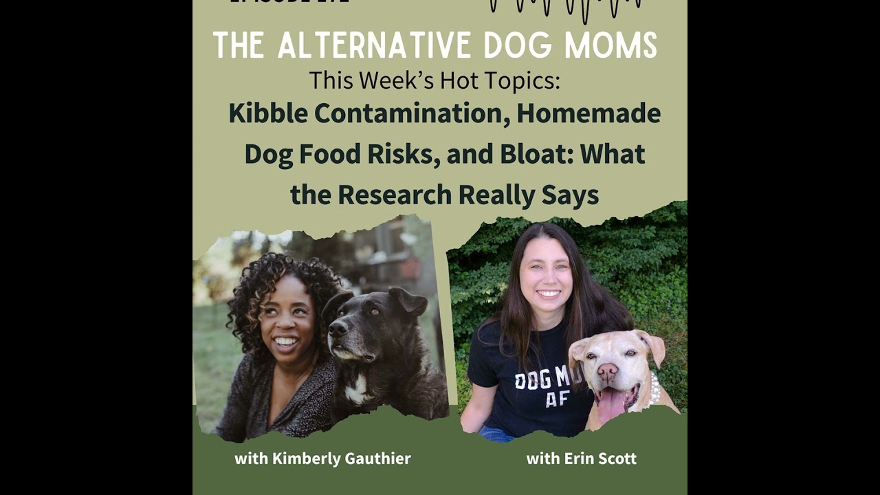 Hot Topics: Kibble Contamination, Homemade Dog Food Risks, and Bloat: What the Research Really Says
