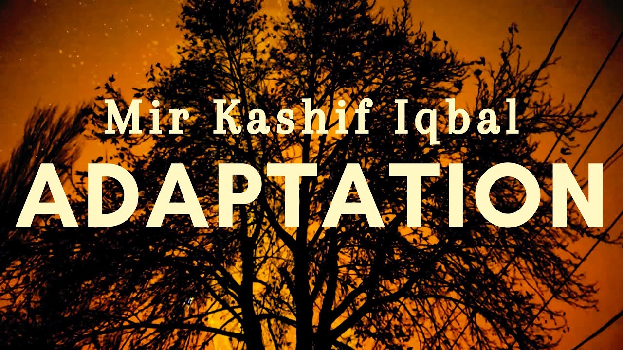 Mir Kashif Iqbal - Adaptation