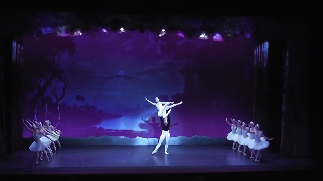 NAGASAWA MIE SWAN LAKE