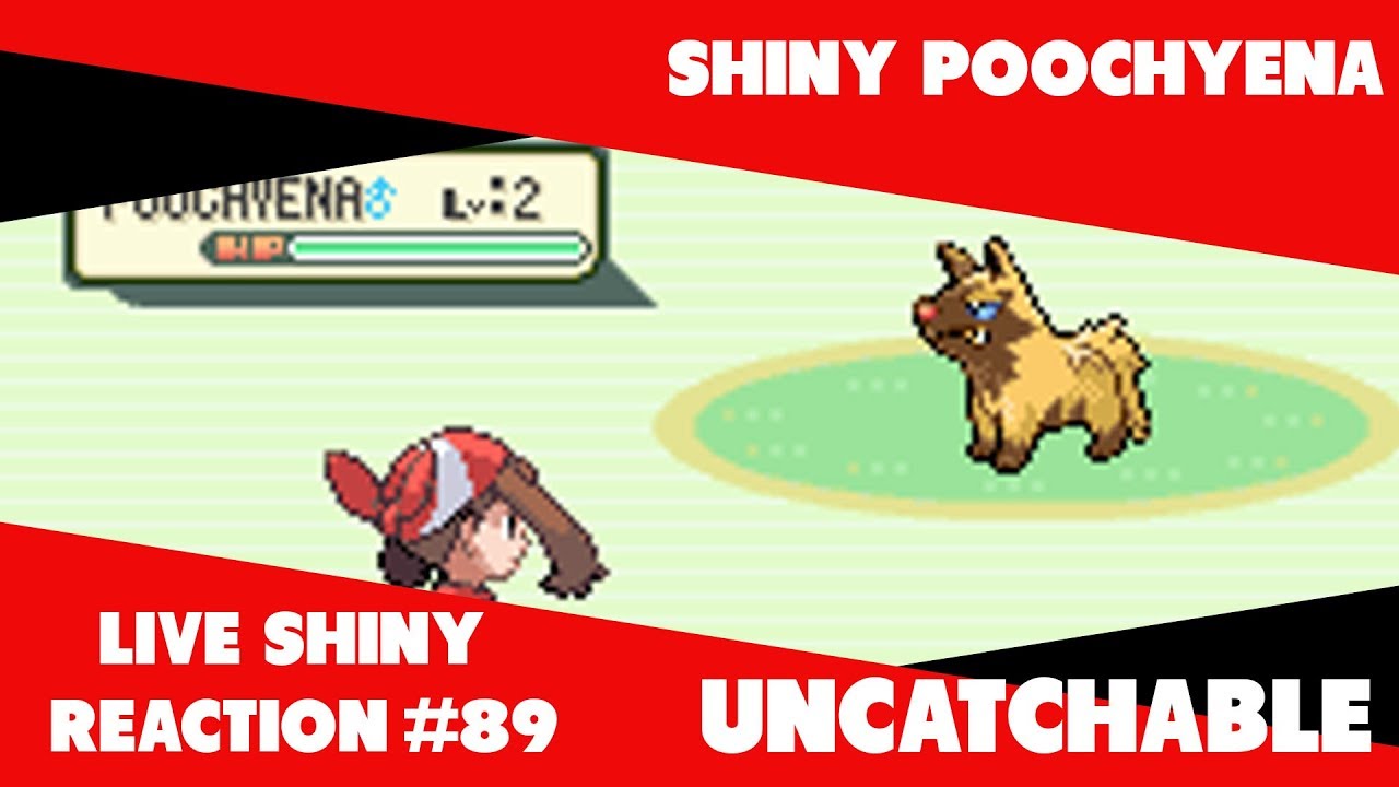 FIRST UNCATCHABLE SHINY POOCH!  | 4375 SRs | Live Shiny Reaction #89