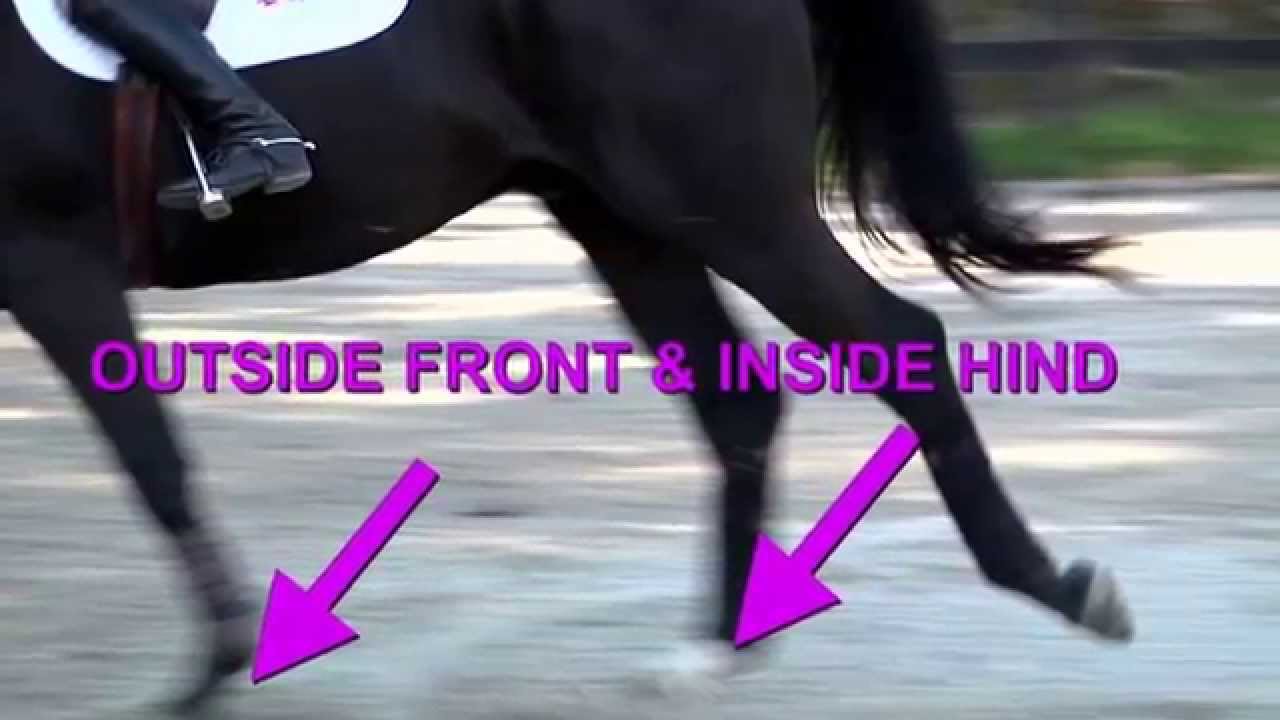Flying Lead Changes Explained