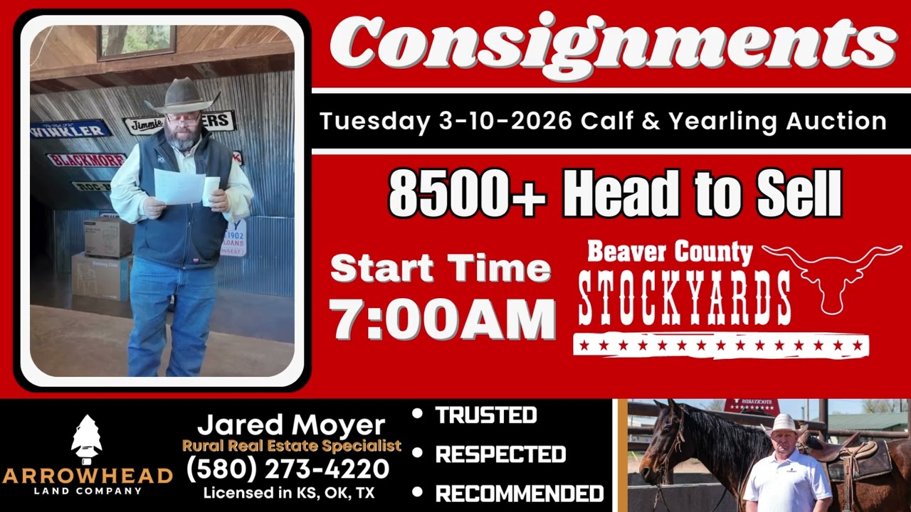 Consignments for 3-10 Cattle Auction