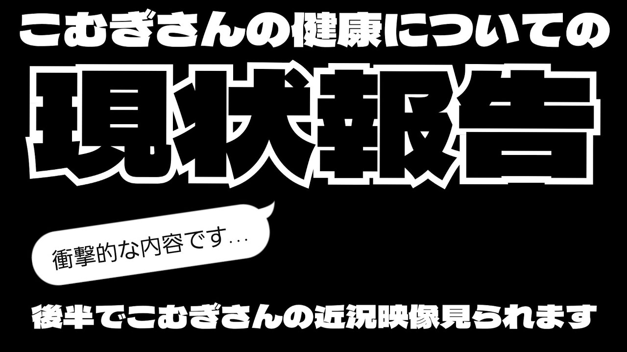最近判明したこむぎさんの健康にまつわる衝撃的な近況報告です。