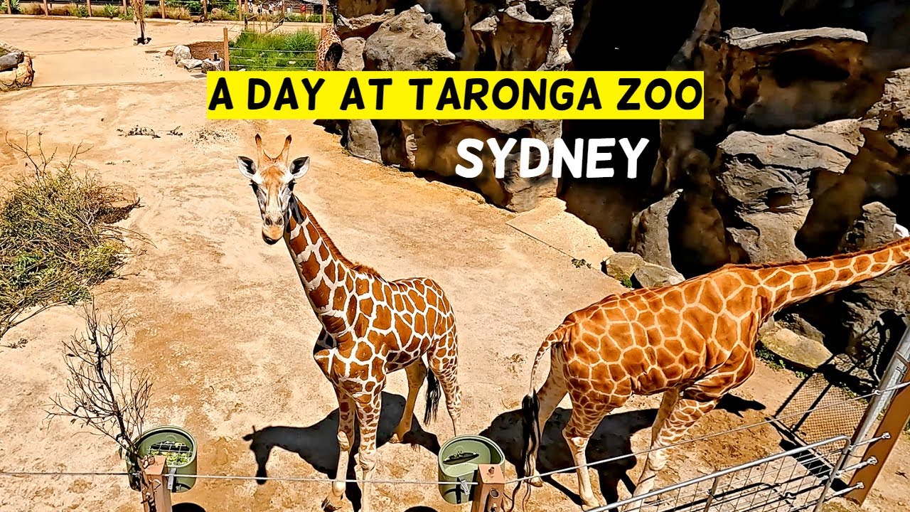 Taronga Zoo | Fun Day In Sydney | Australia | Two Off To