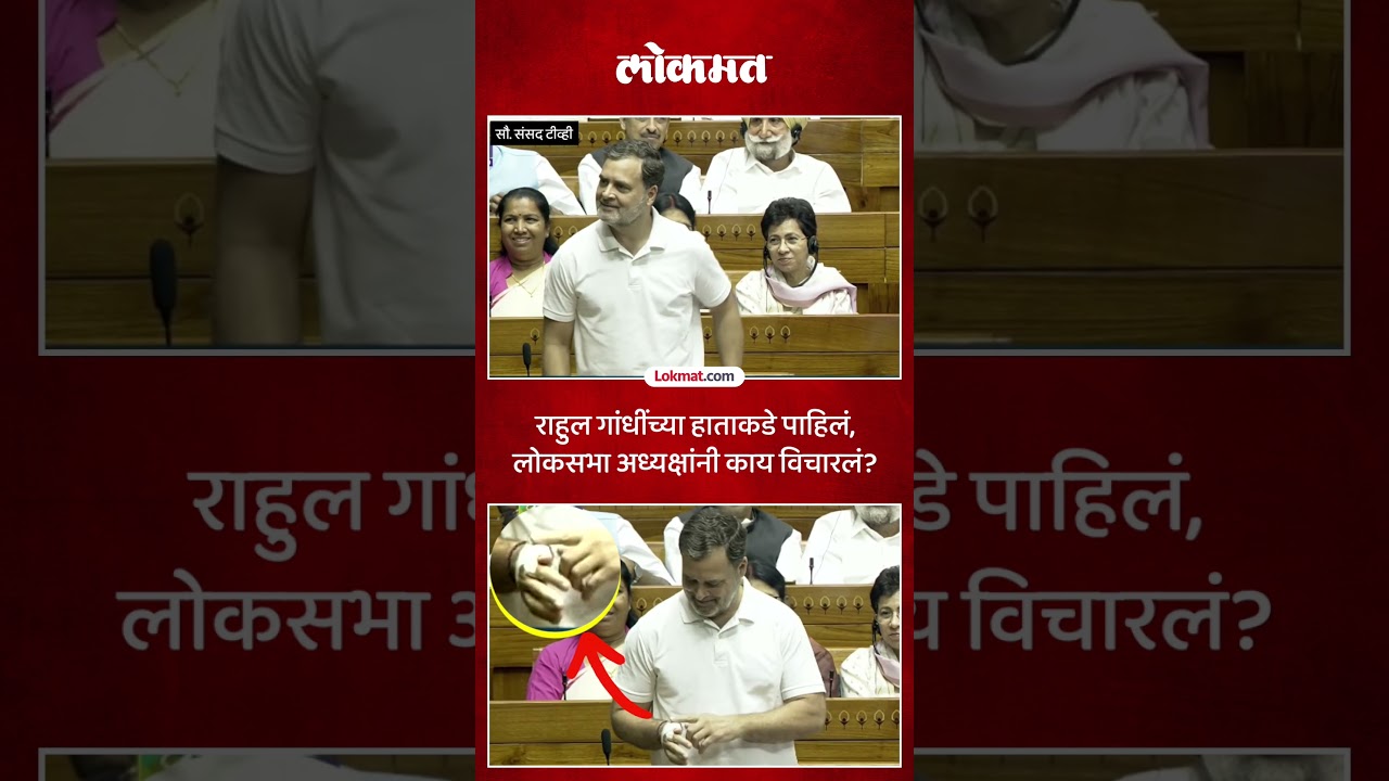 What happened when Rahul Gandhi stood up to speak in the Lok Sabha? Rahul Gandhi Lok Sabha Speech