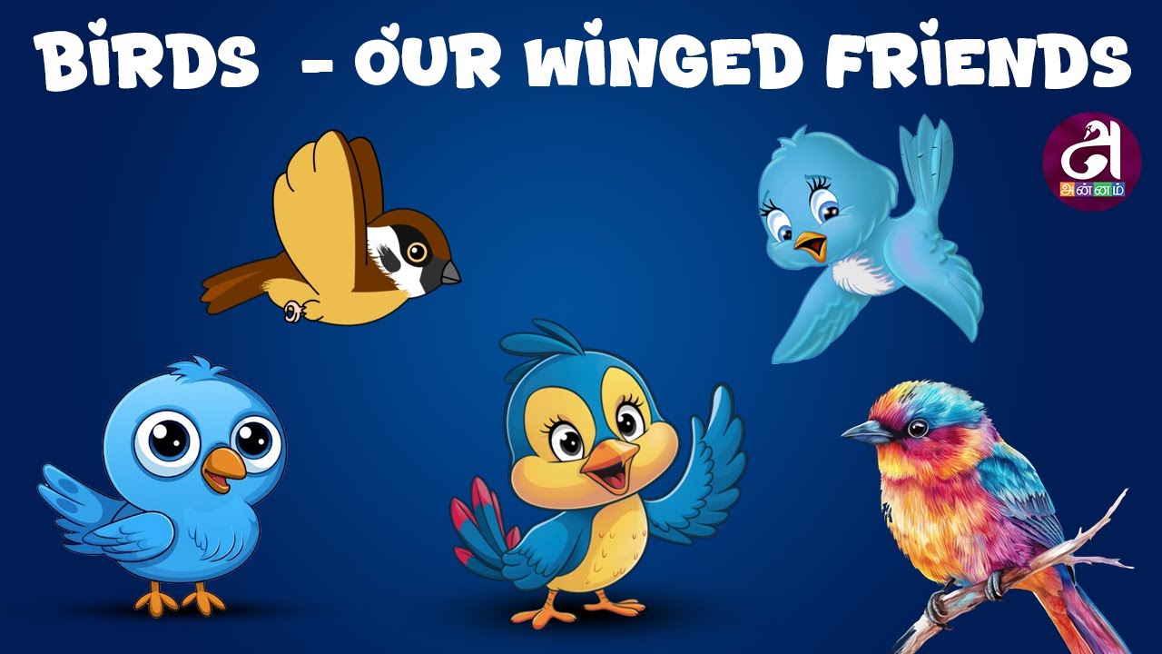 Birds - Our Winged Friends | Learn Birds Names in English | Kids Videos | English Educational Videos