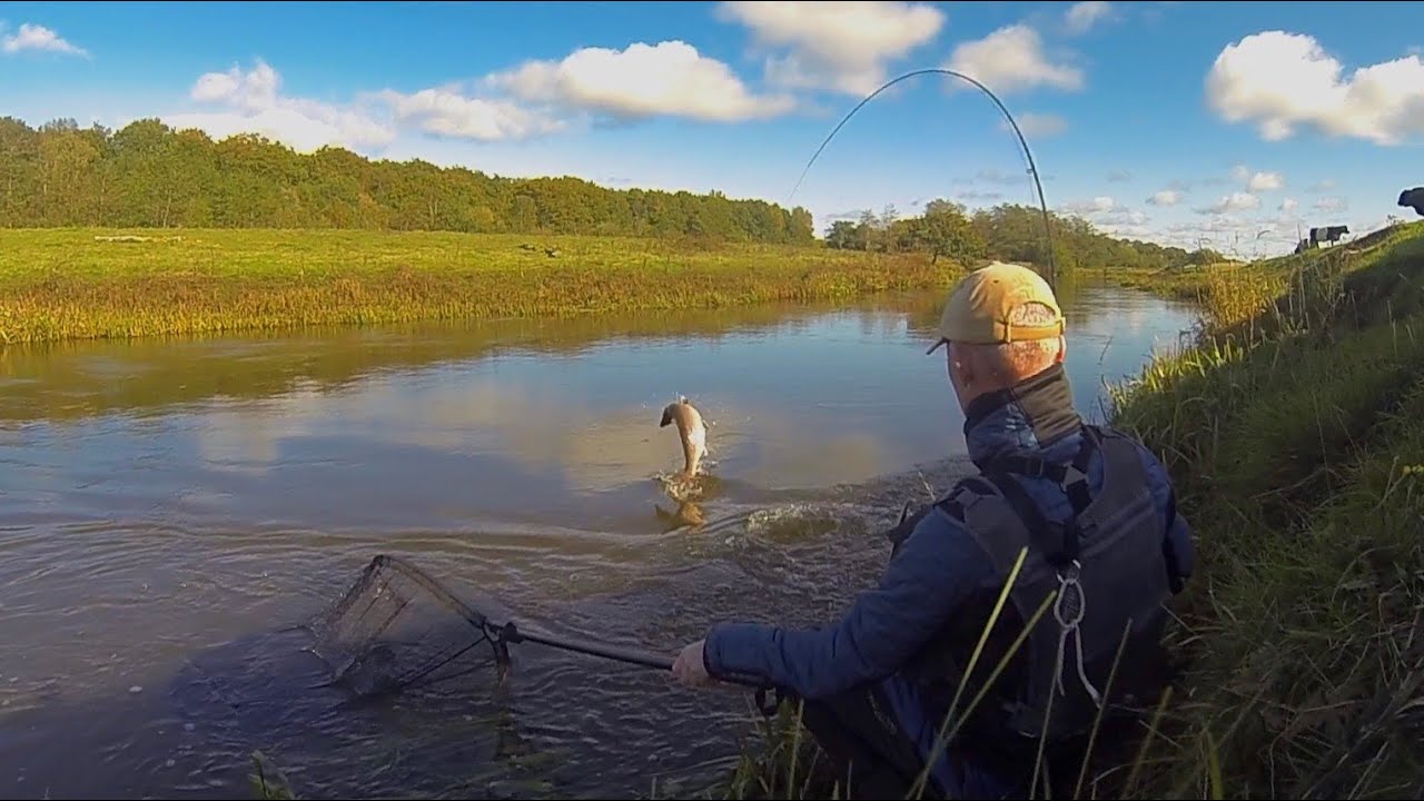 Efterår i Storåen 2021
