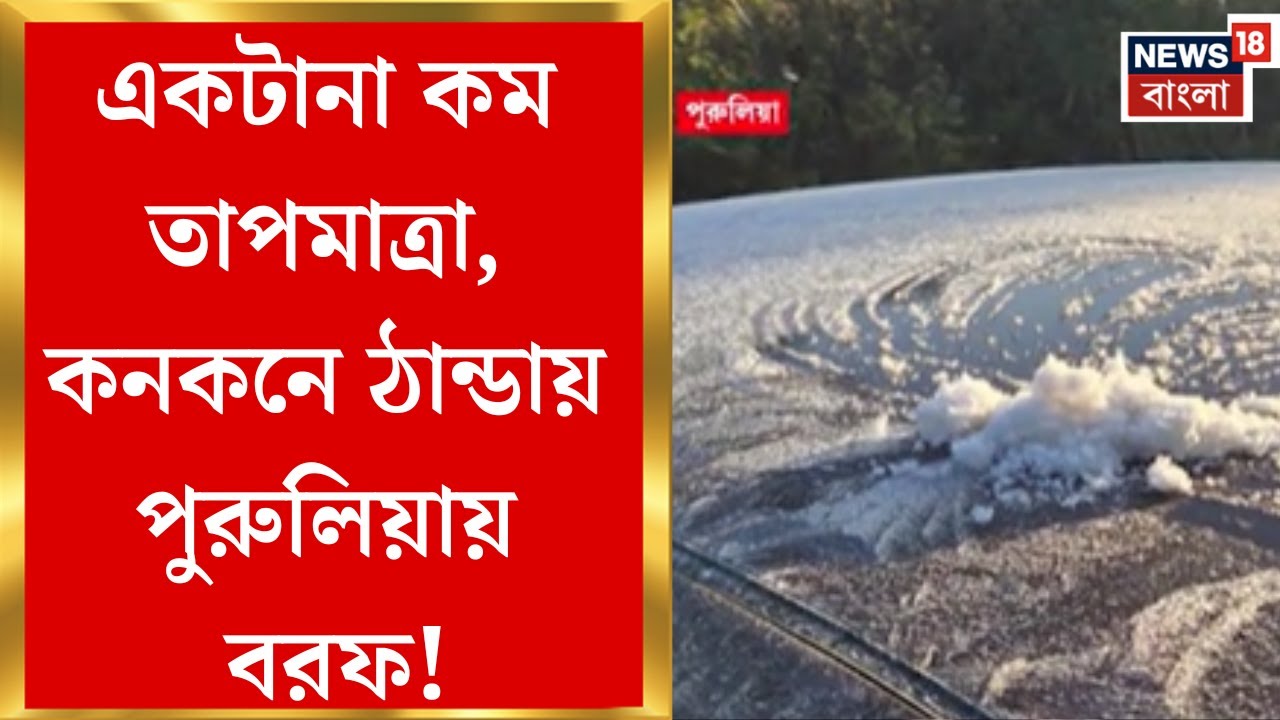 Purulia News| পুরুলিয়ায় শিশির জমে বরফ, পৌষ সংক্রান্তি থেকে ফের জেলায় জেলায় জাঁকিয়ে শীত| Bangla News