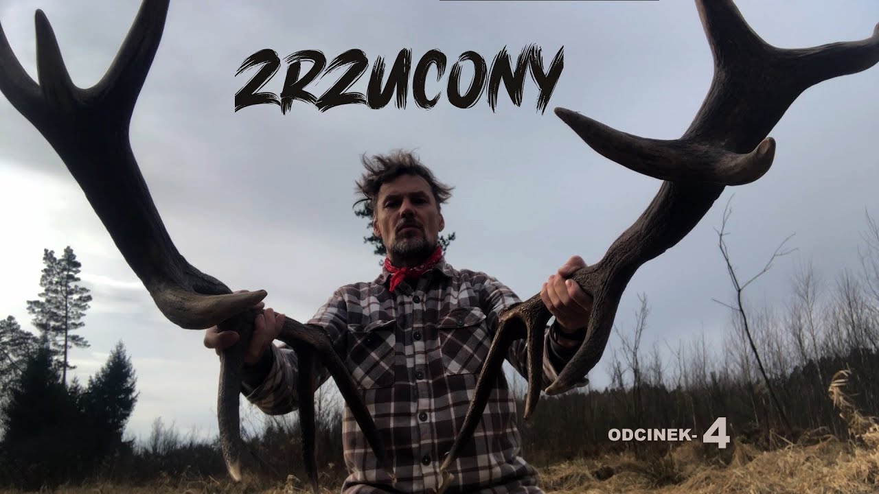 Świeże zrzutyZRZUCONY VOL.4  Podkarpackie Nowalijki 24. BORN IN 75.#shedhunting#zrzuty#poroże