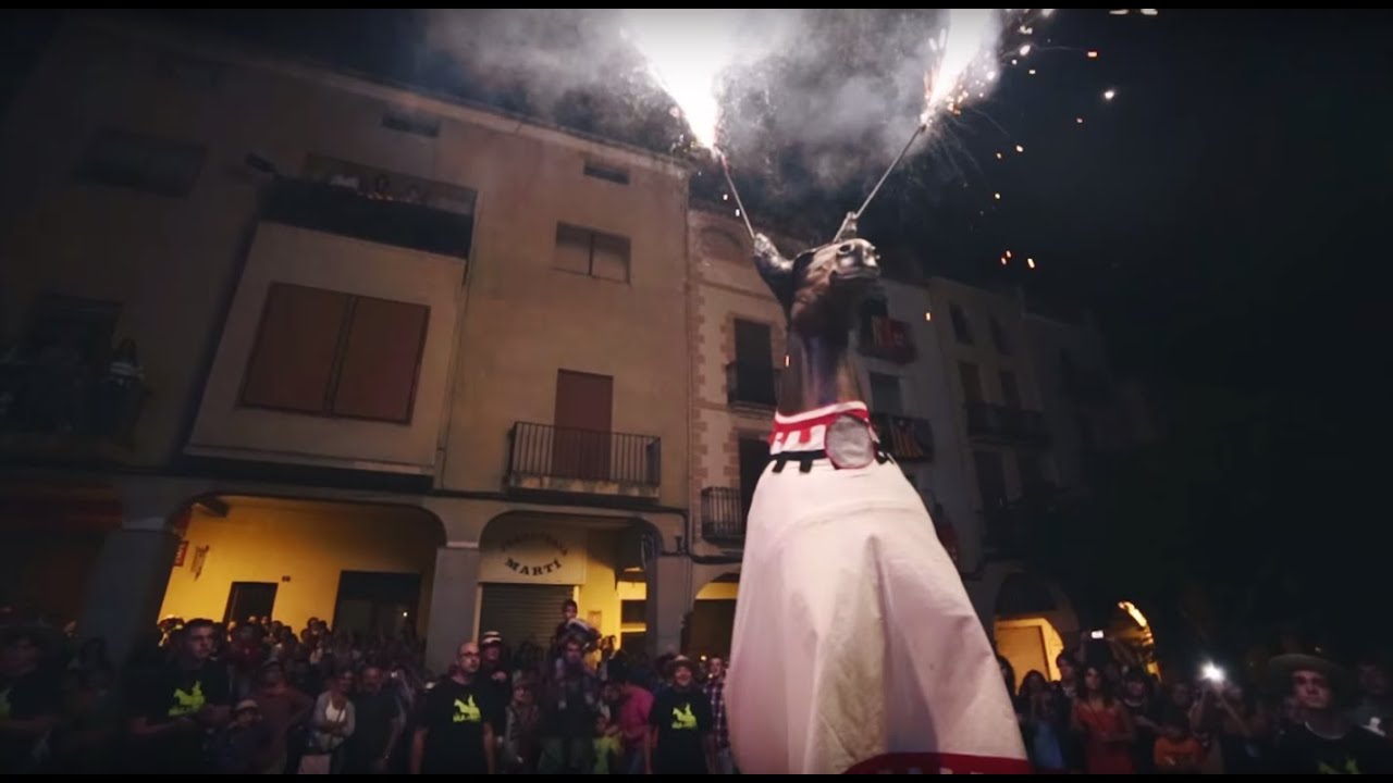 CORREMULASSA 2015