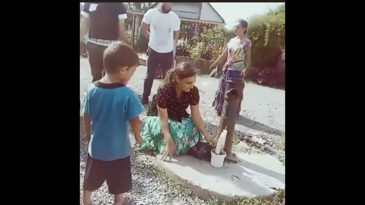 Богар.08-07-2024