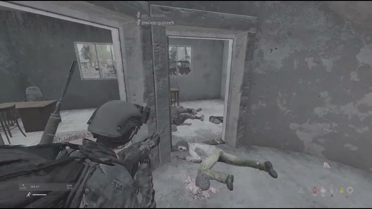 DayZ_Frs fight comiko