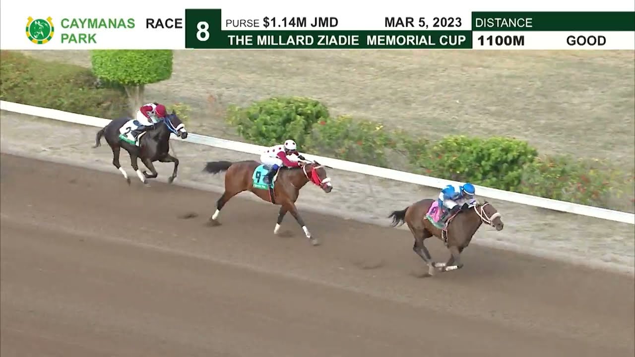 Caymanas Highlights - March 6, 2023 | SportsMax TV