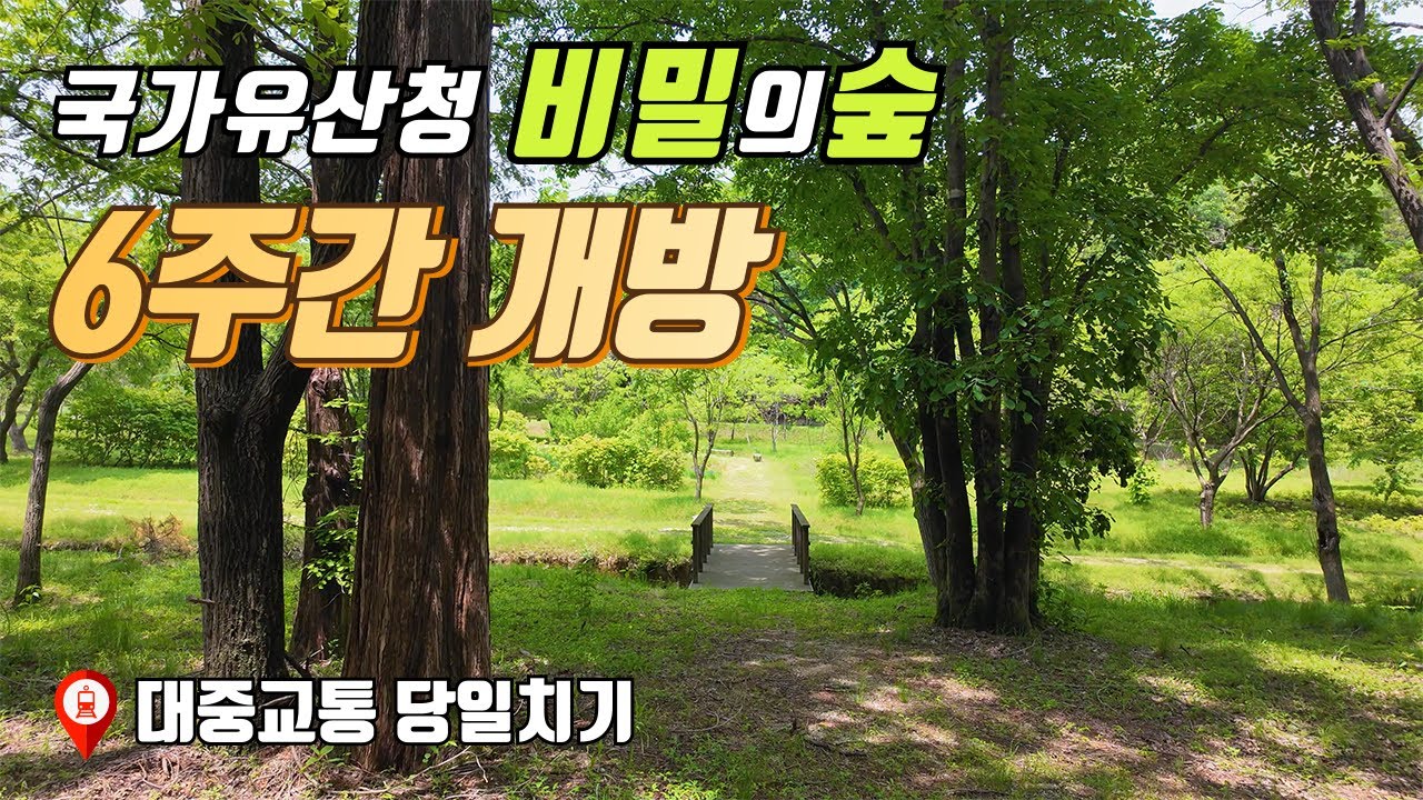 단 6주만! 국가유산청에서 숲길을 개방합니다. | 대중교통 당일치기 여행 | 동구릉 숲길 트레킹 코스