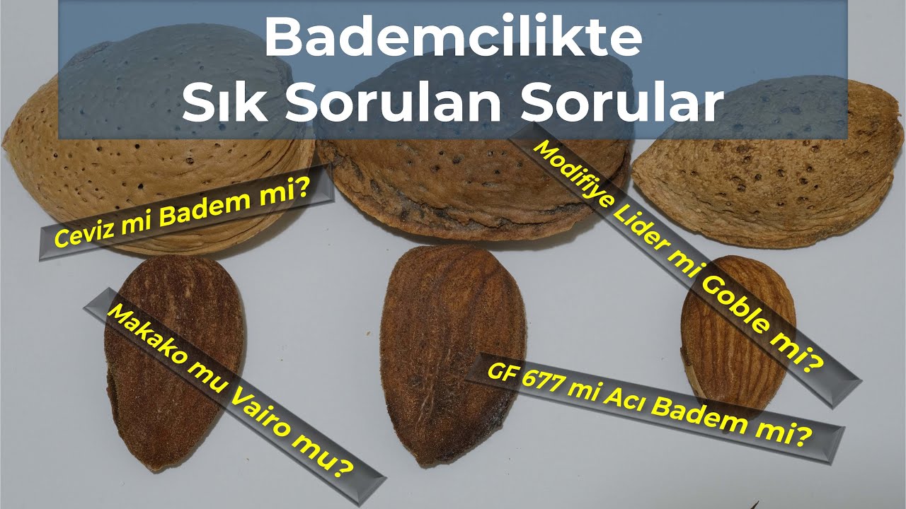 Bademcilikte Sıkça Sorulan Sorular