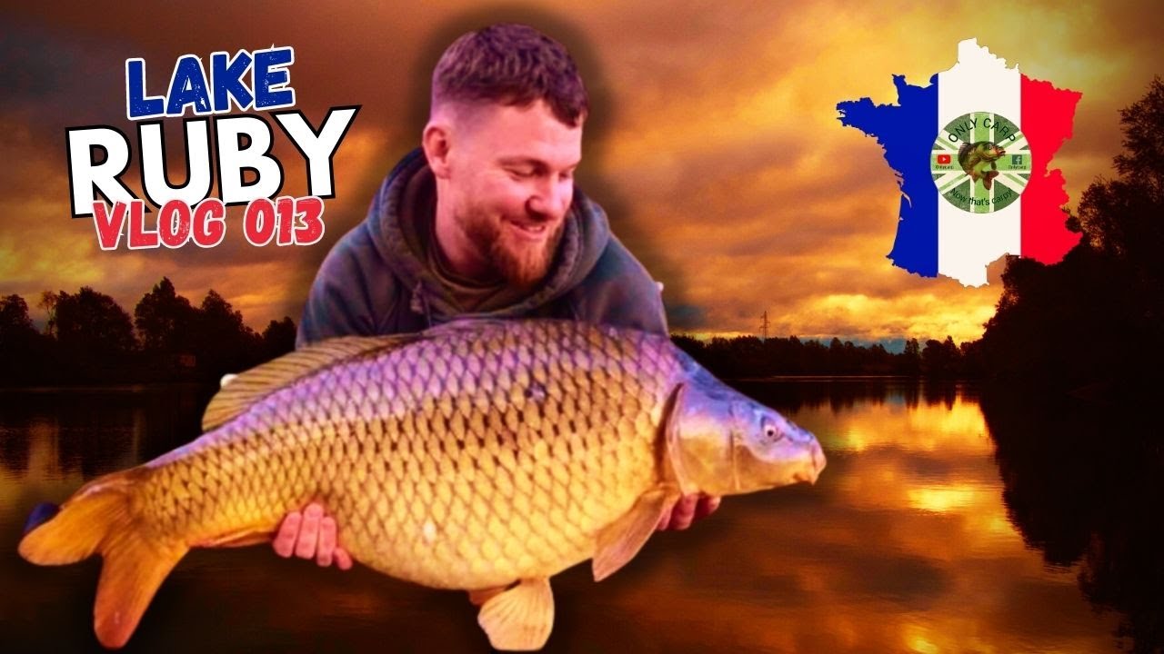 ONLY CARP | French Carp Fishing at Lake Ruby | Vlog 013 | FISH ON