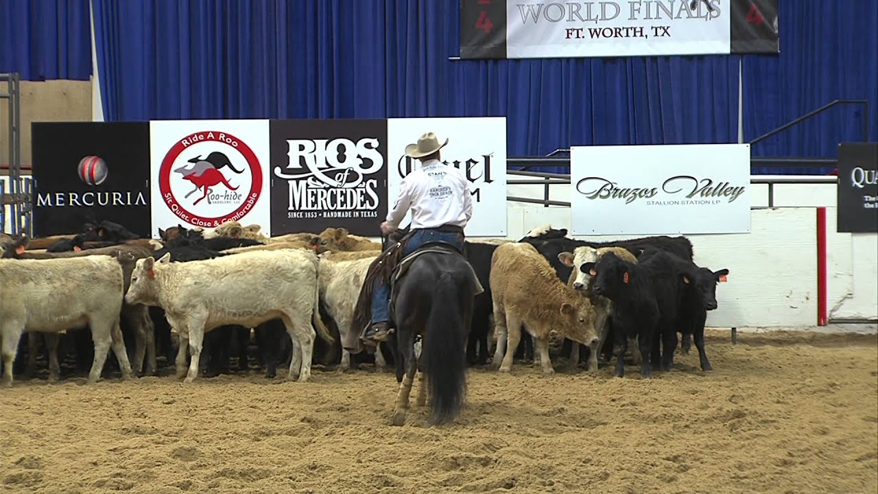 2014 World Finals:  Tracy Barton & NRR Cat King Cole