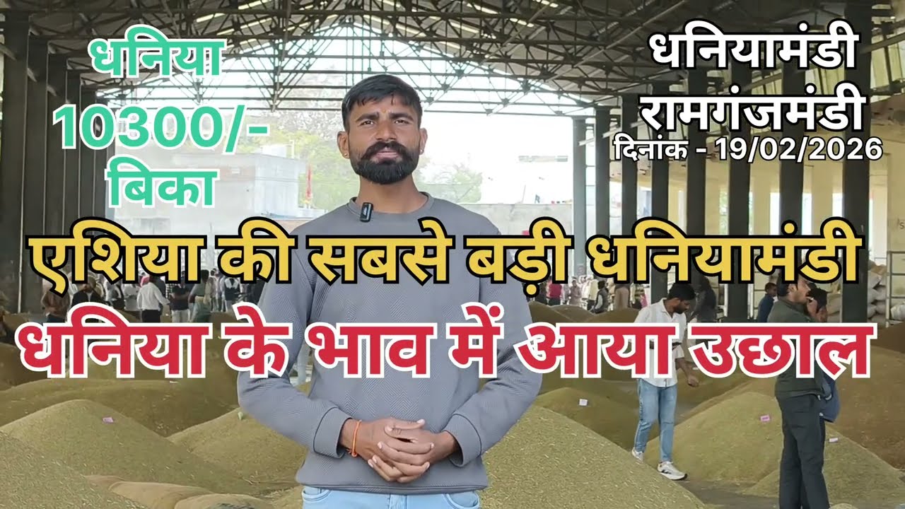 धनिया का भाव हुआ 10000/- पार ।। एशिया की सबसे बड़ी धनियामंडी से ताज़ा अपडेट ।।  धनिया में तेजी 