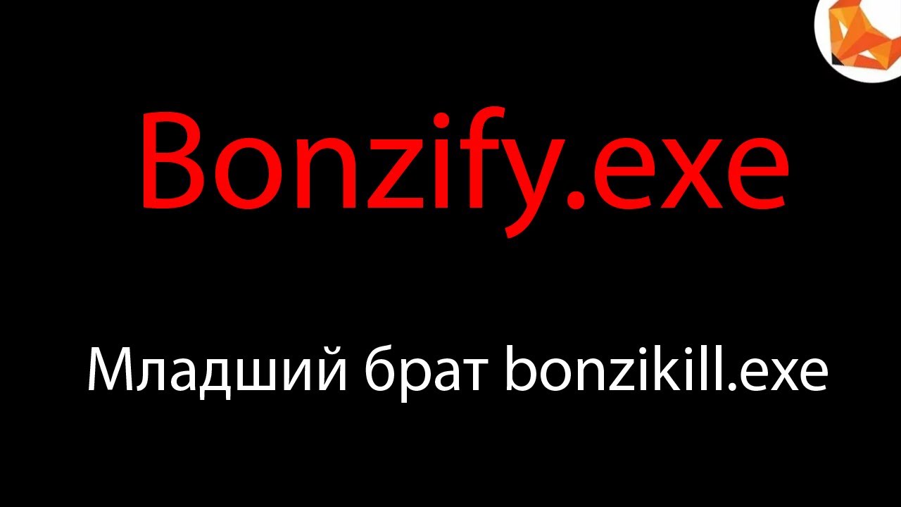 Bonzify.exe | Младший брат bonzikill.exe