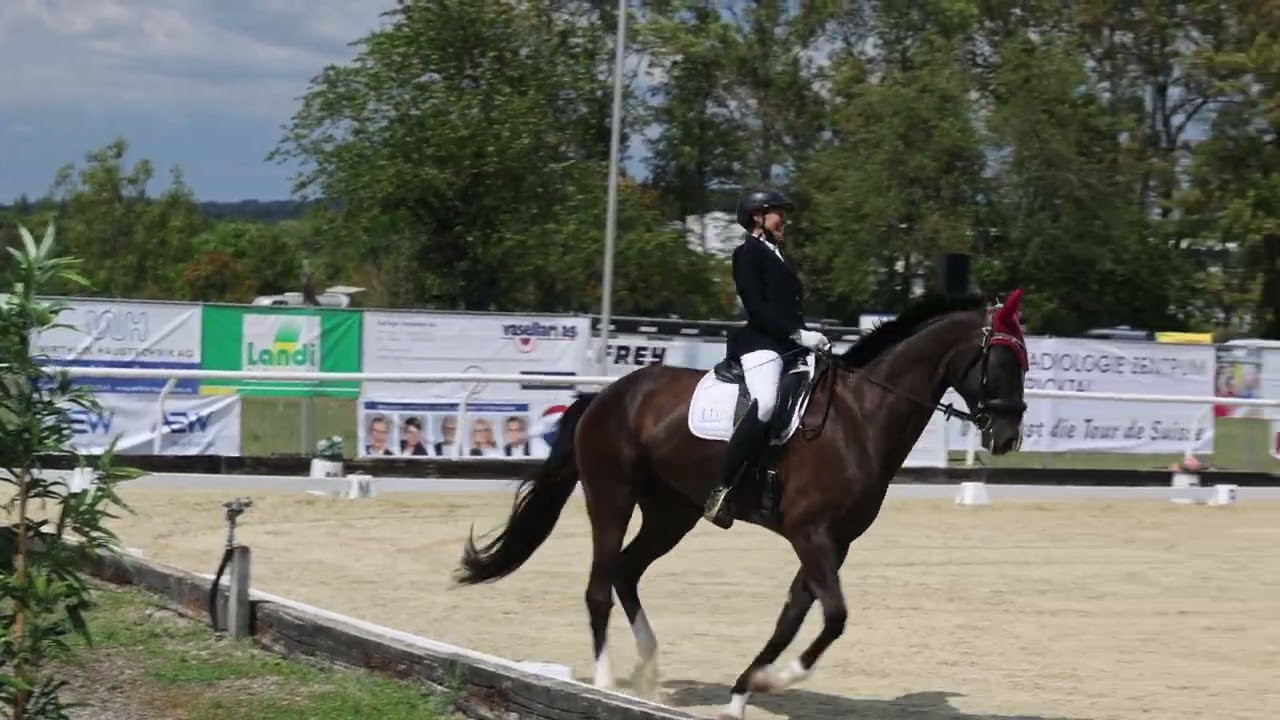 CD Moehlin 08/07/2022