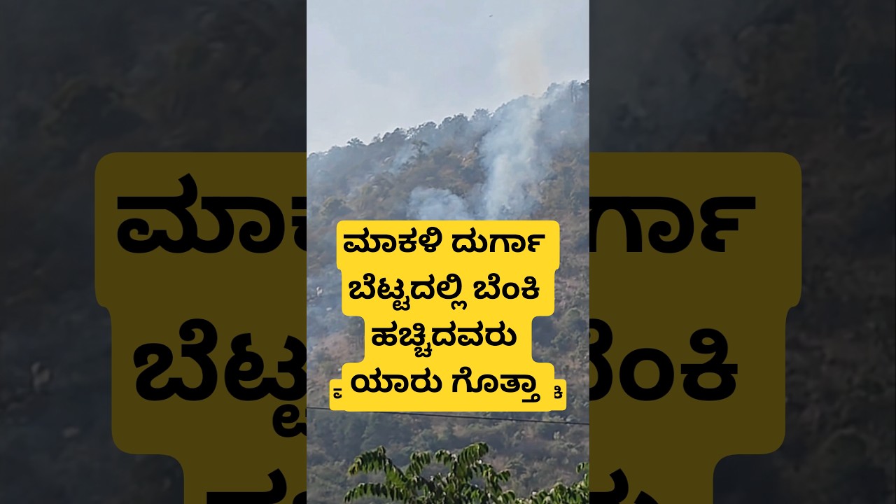 ಮಾಕಳಿ ದುರ್ಗಾ ಬೆಟ್ಟದಲ್ಲಿ ಬೆಂಕಿ. Bengaluru near forest fire, 