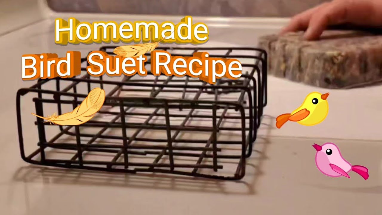 DIY Bird Suet Recipe | QUICK and EASY