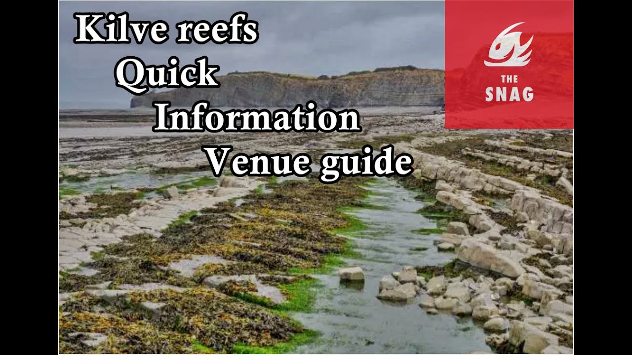 Kilve Quick Shore Fishing Guide — UK 
