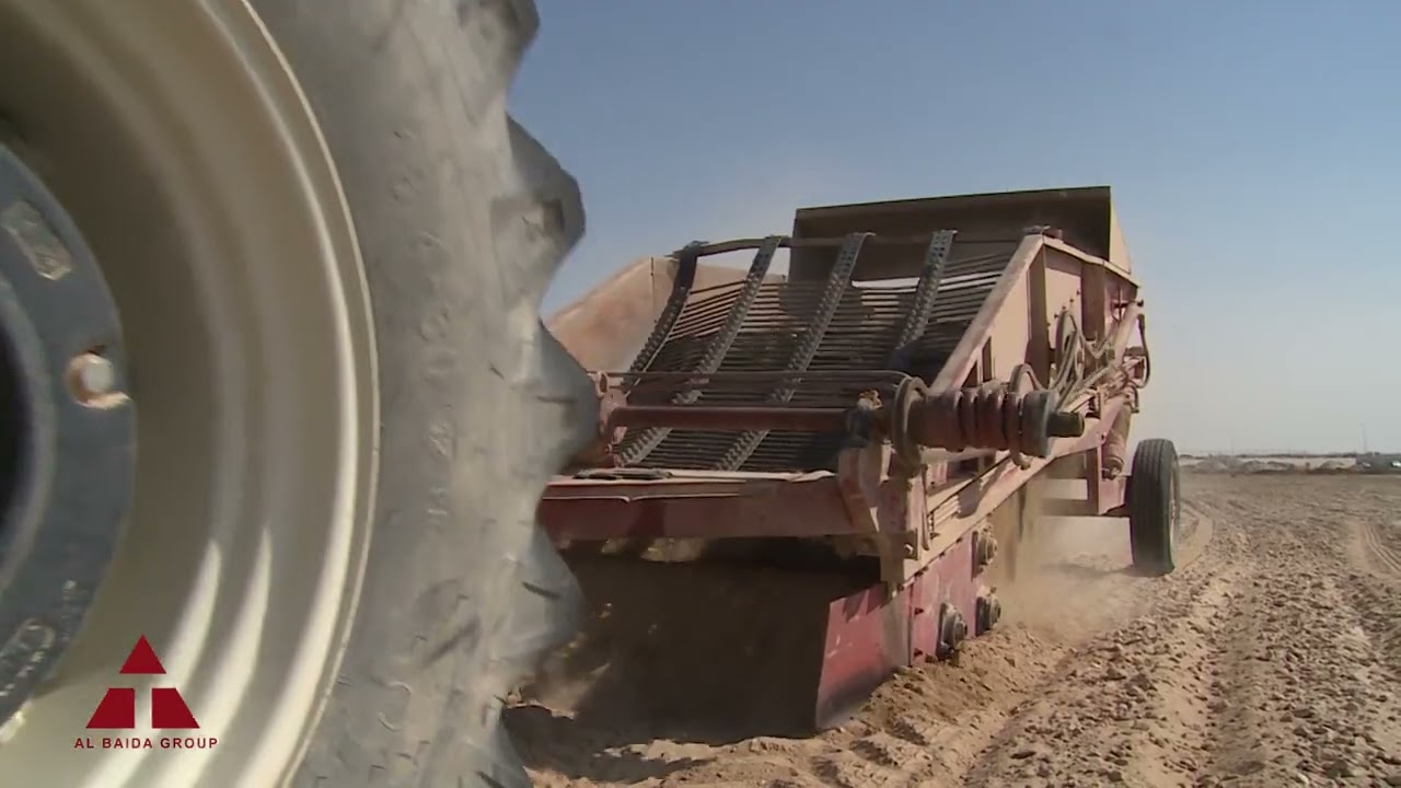 Al Baida Agricultural Service / Al Baida Green Fodder Production