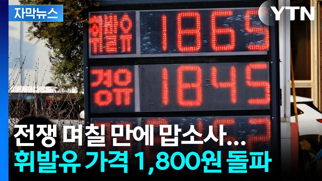[자막뉴스] 