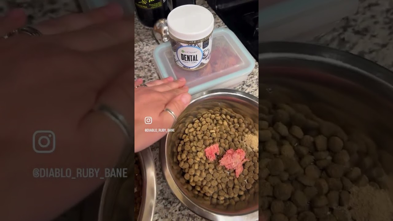 Kibble and raw breakfast!
