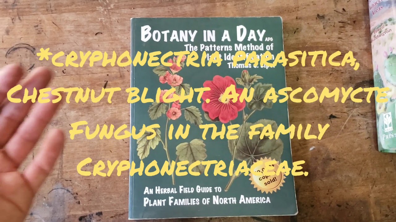 (#126) Tony Santoro's Botany Crash Course