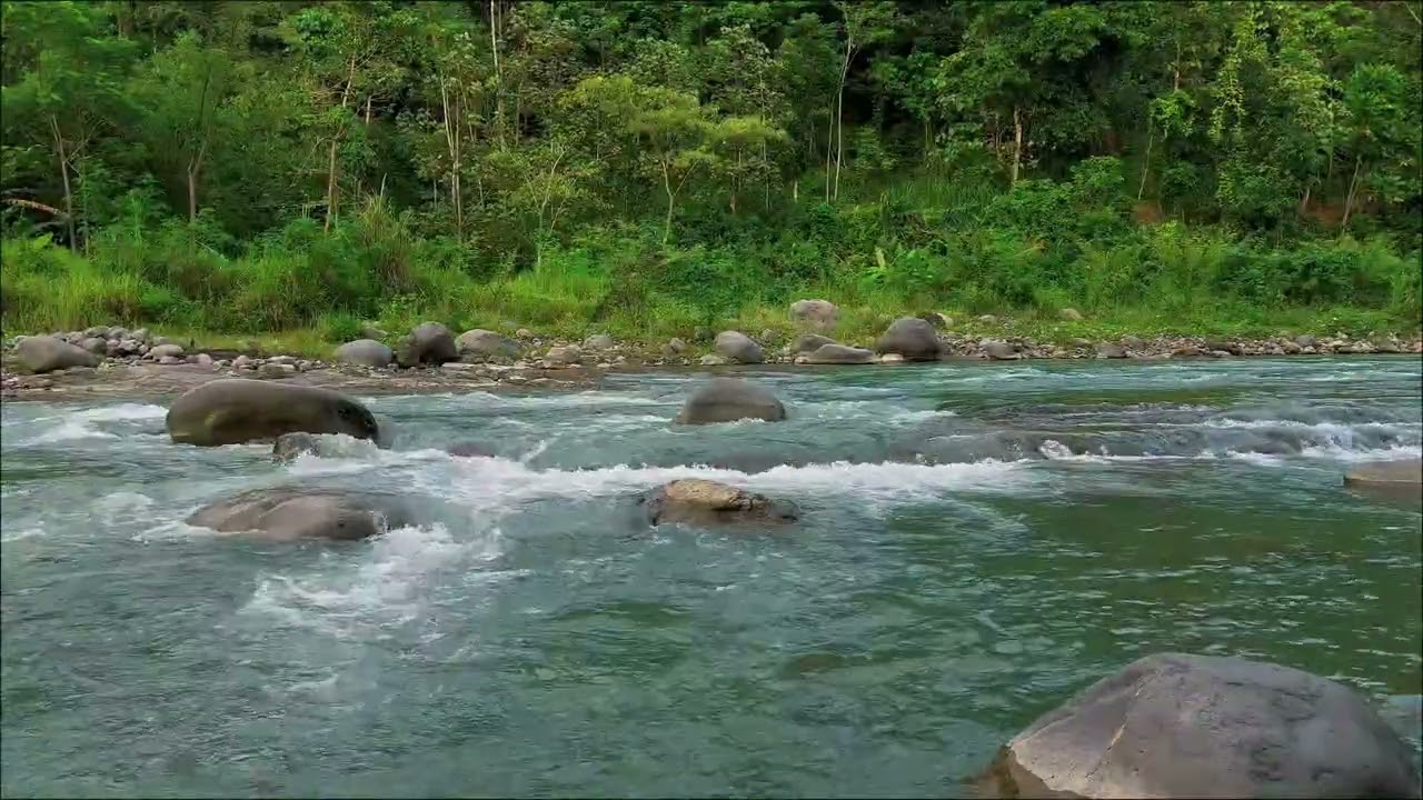 Peaceful Flowing River Ambience for Deep Relaxation | Water Sounds for Stress Relief & Sleep Support