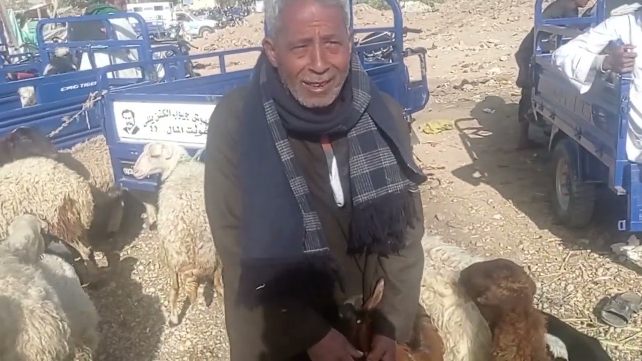 اسعار ببلاش في داخل السوق اسنا محافظه الاقصر بتاريخ 24/1/2026 خش وشوف بنفسك الاسعار 