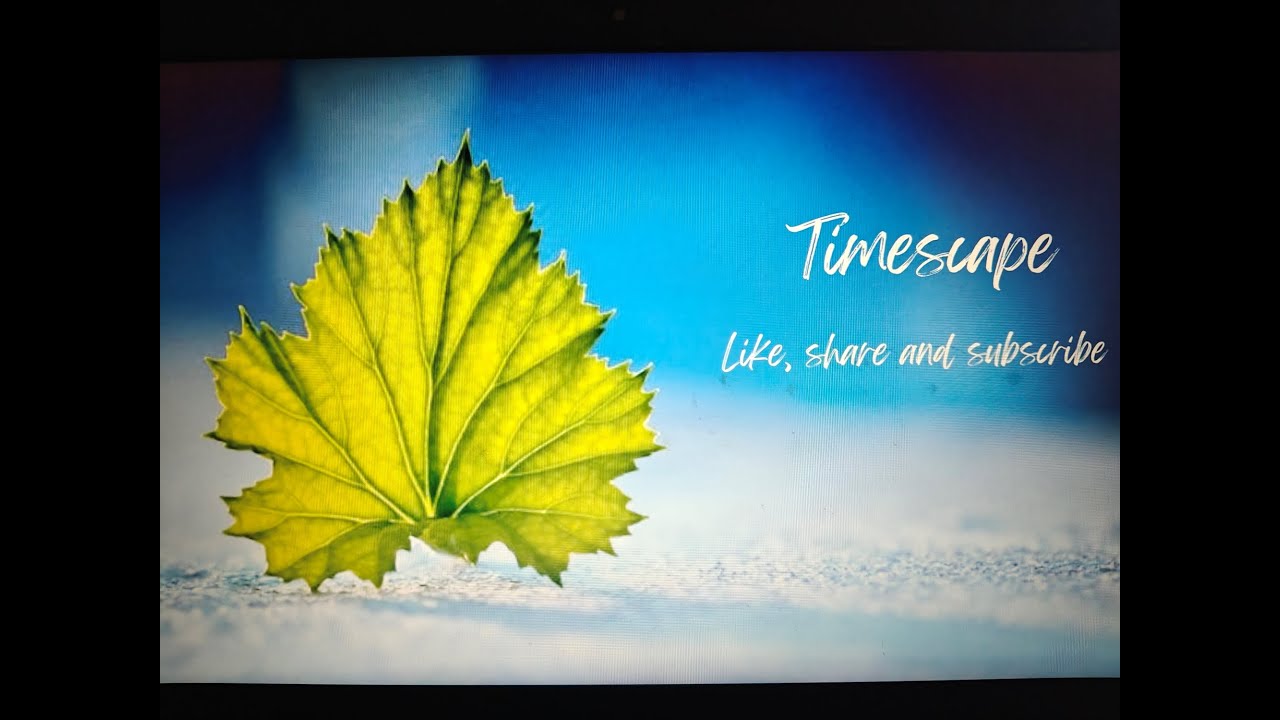TIMESCAPE Lo-Fi , relaxing , chill beats .Meditative Live Stream