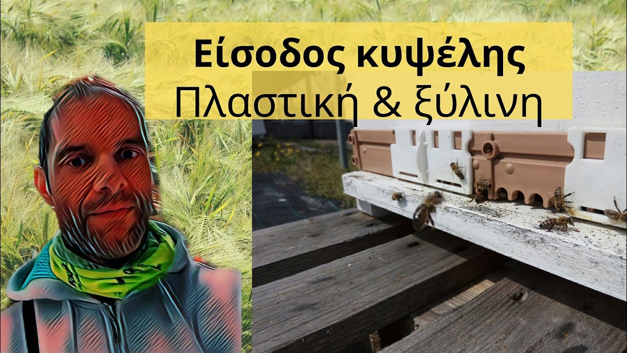 Είσοδος Κυψέλης, πλαστική και ξύλινη