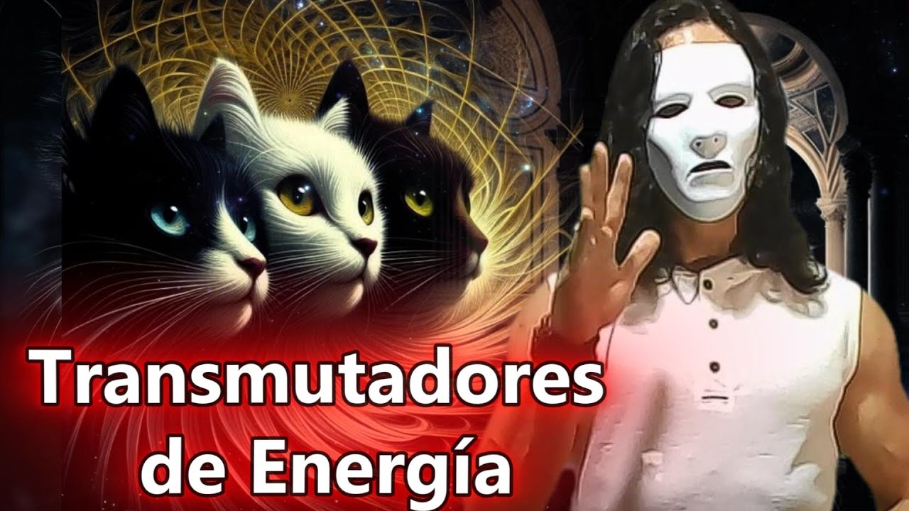🐈 La misi&oacute;n espiritual de los gatos en la tierra: magia y protecci&oacute;n real