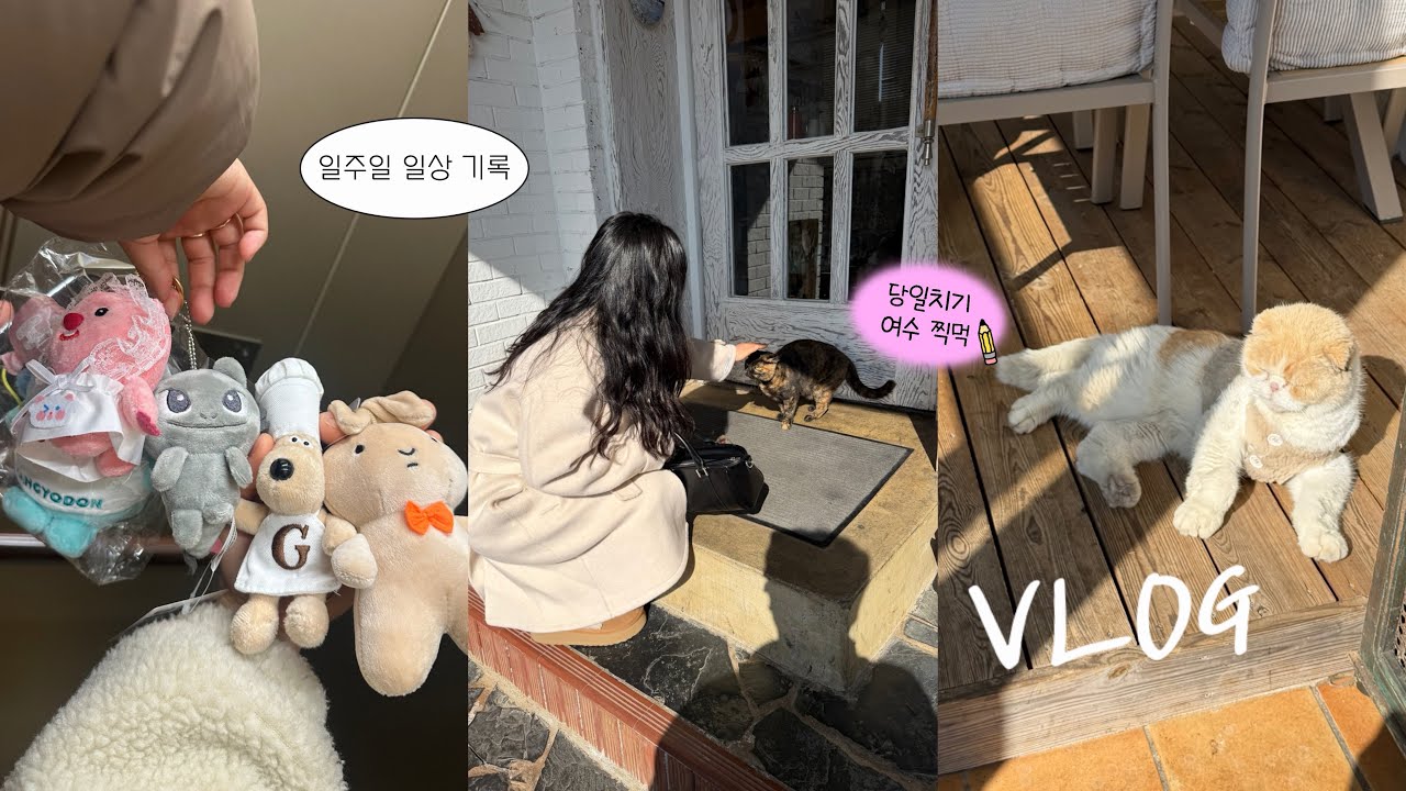 [VLOG]직장인 브이로그 | 일주일동안의 기록들 | 퇴근 후 행복한 일상 모음 zip ❤️| 나는야 인형뽑기 달인