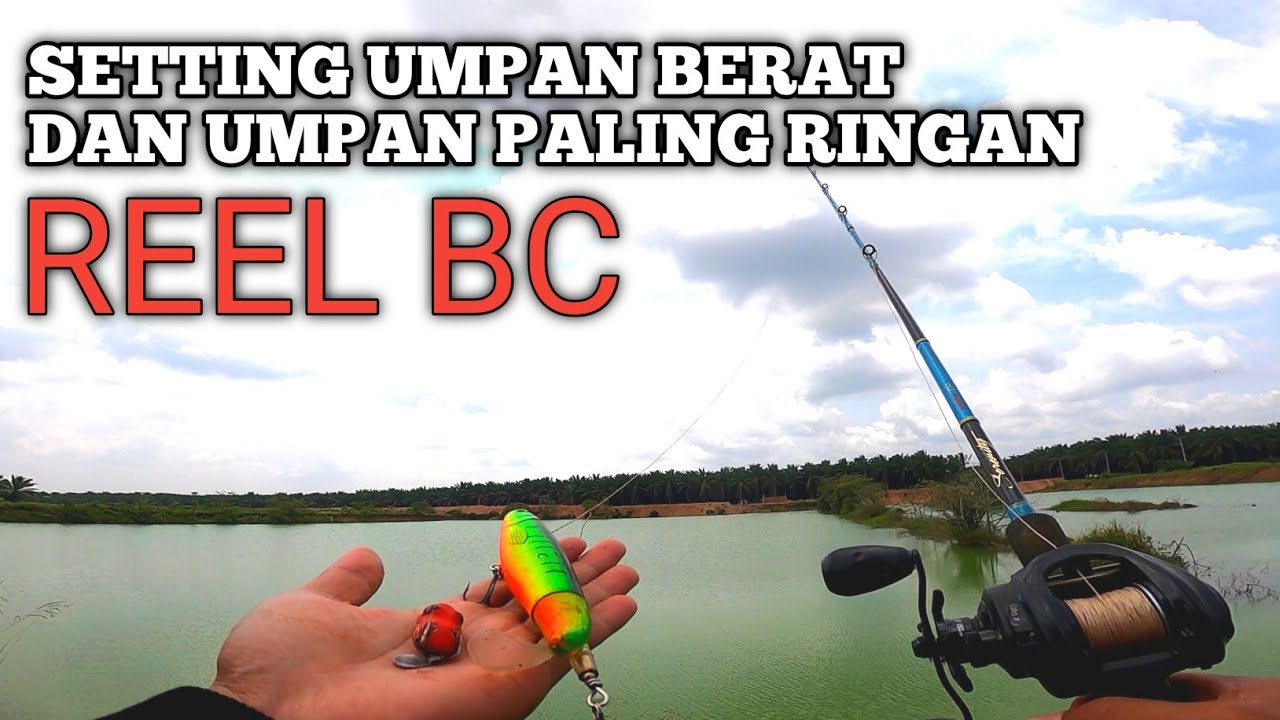 CARA SETEL REEL BC UMPAN BERAT DAN UMPAN RINGAN