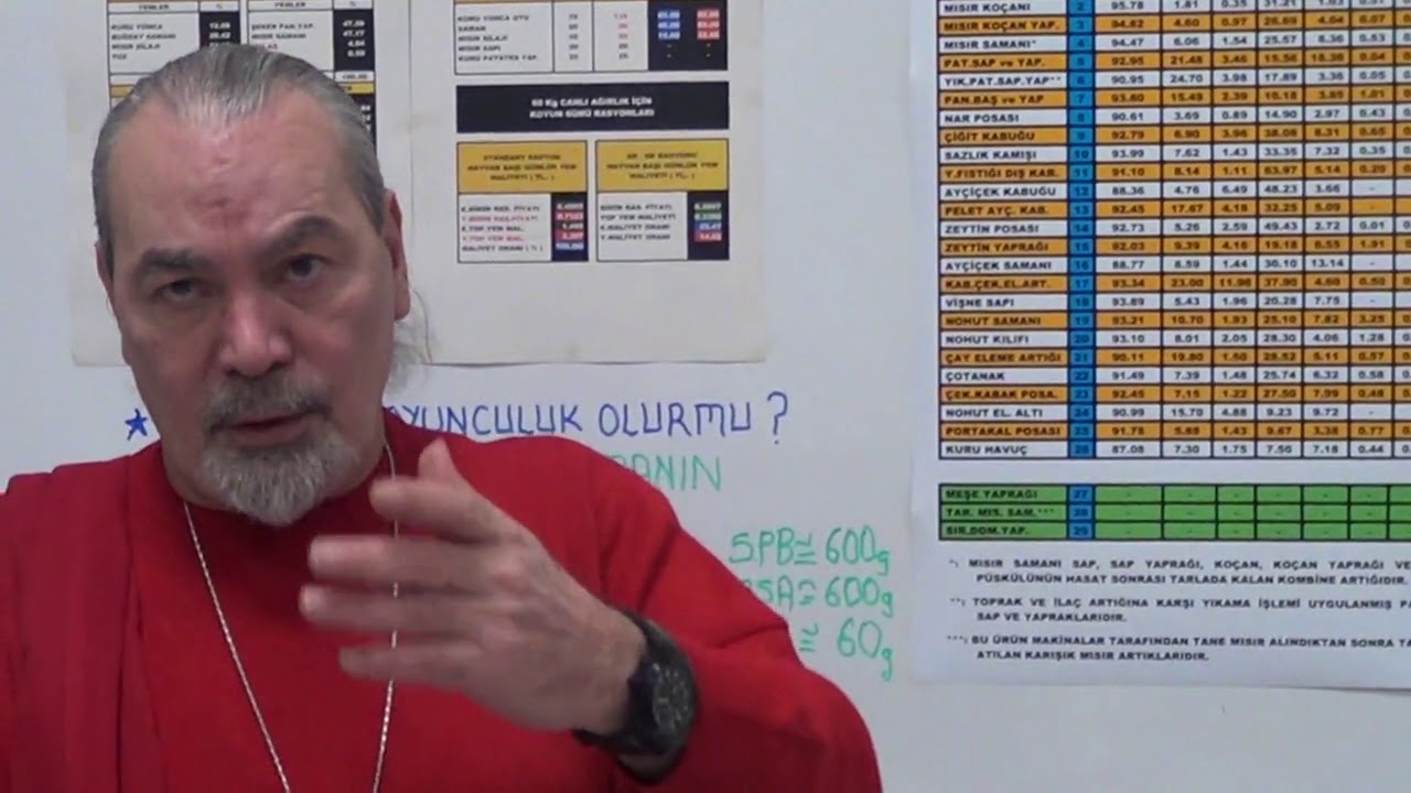 MER'ASIZ KOYUNCULUK VE EKONOMİK RASYONLAR