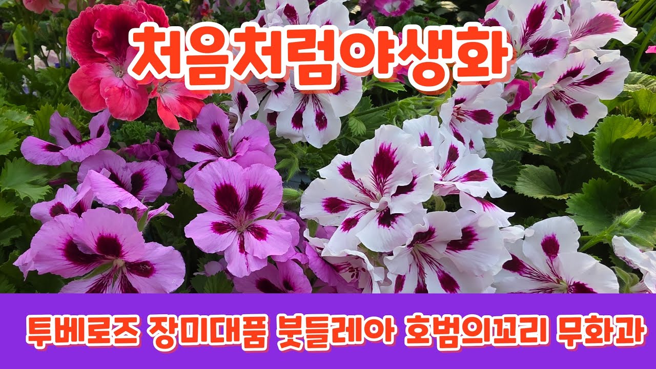 2026년 3월 11일