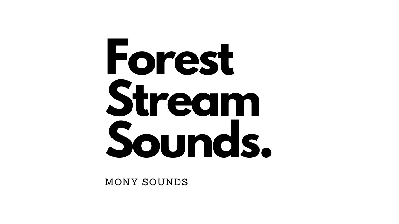 Relaxing Forest Stream - Relaxing River Sounds with Birds Singing | Nature Sounds Dark Screen