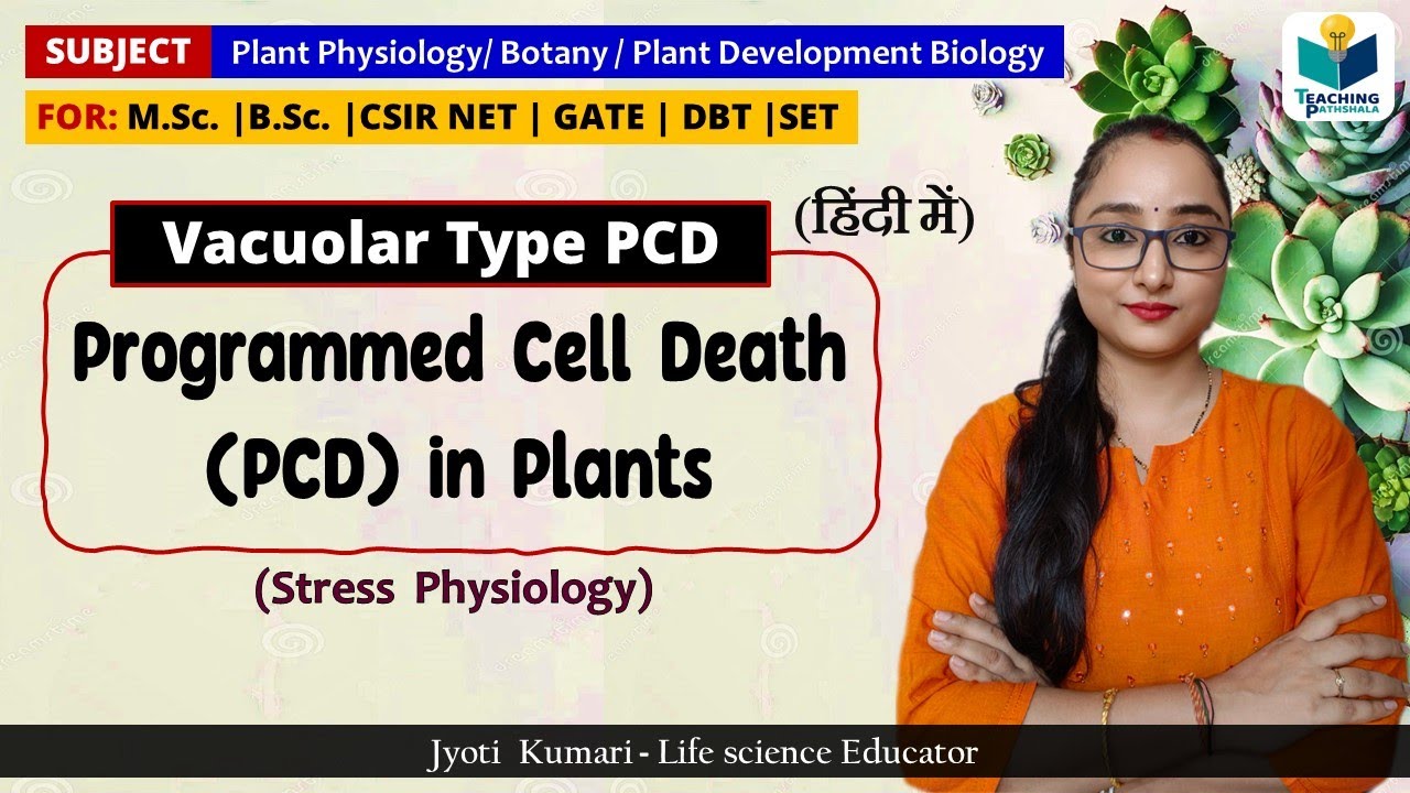 Programmed Cell Death (PCD) in Plants || Vacuolar Type PCD || Botany