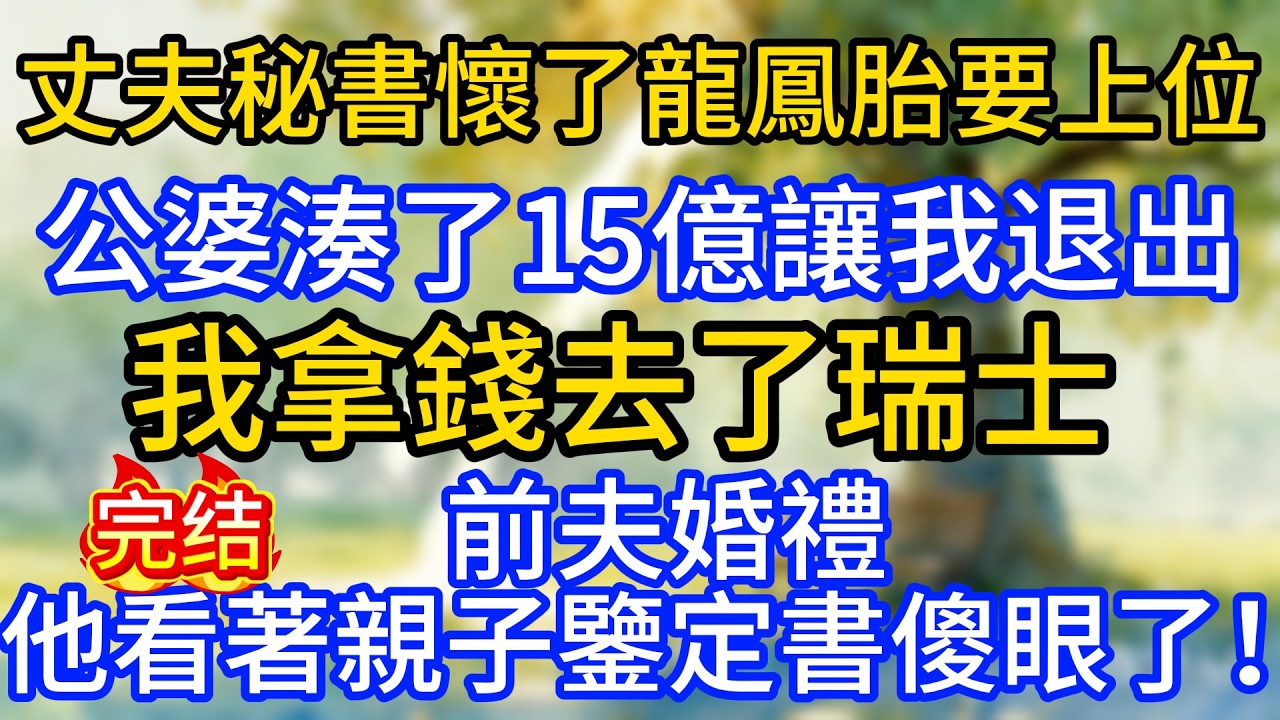 丈夫秘書懷了龍鳳胎要上位，公婆湊了15億讓我退出，我拿錢去了瑞士，前夫婚禮他看著親子鑒定書傻眼了！