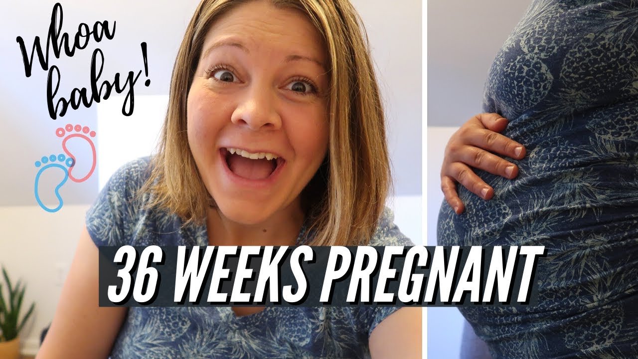 36 Weeks Pregnant with My Third Baby | Home Birth Prep | Pregnancy Weight Gain 3rd Trimester 2021