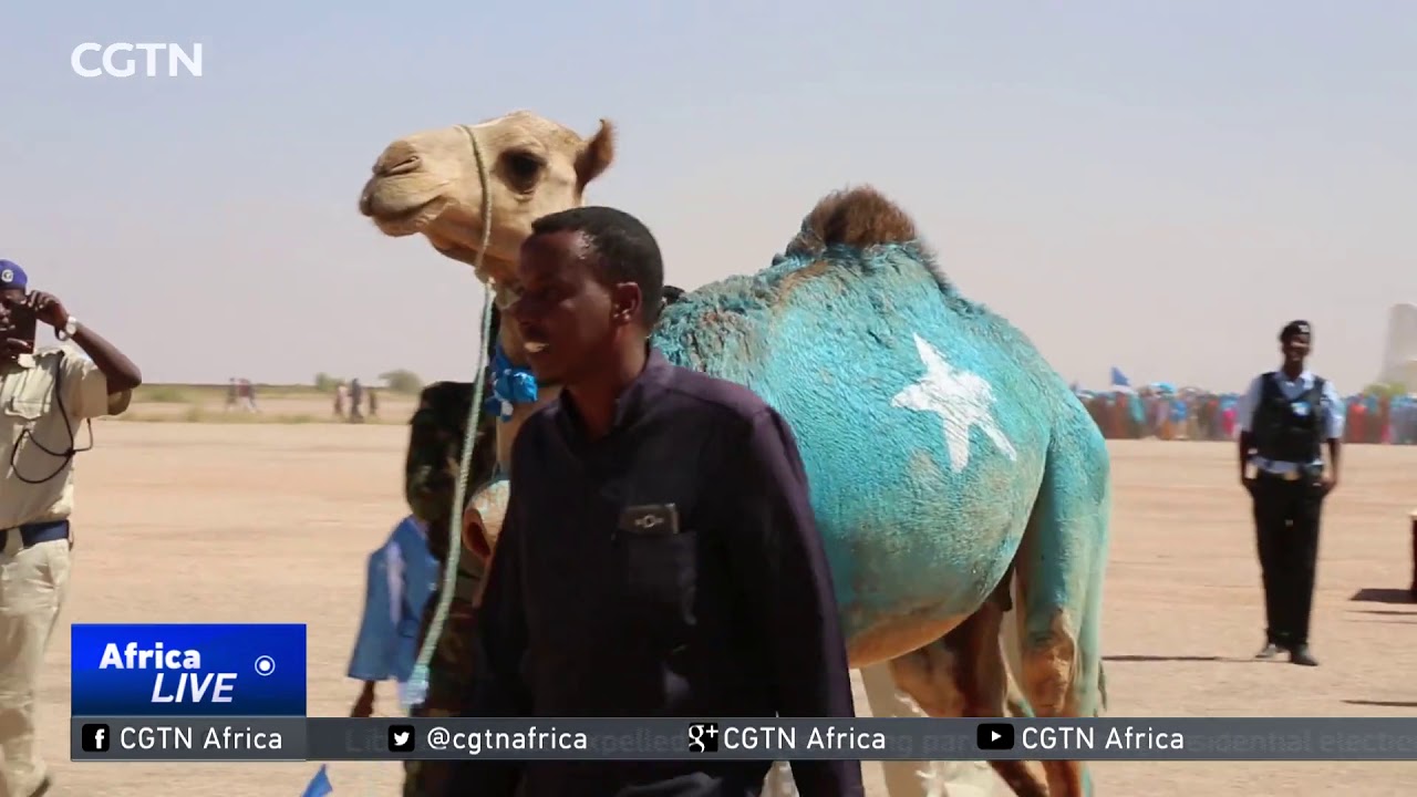 Somalia reconciliation drive pays off in Galkayo