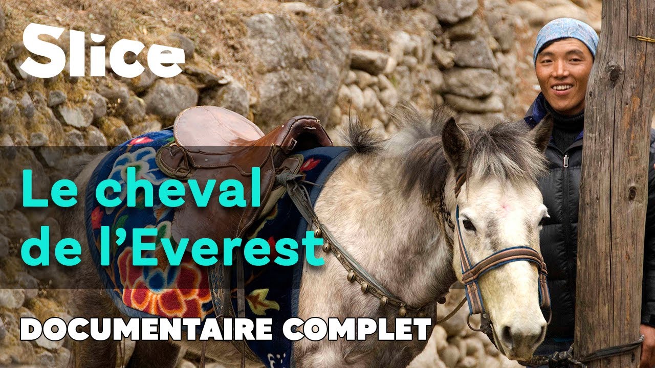 Le meilleur ami des Sherpas | SLICE | DOC COMPLET
